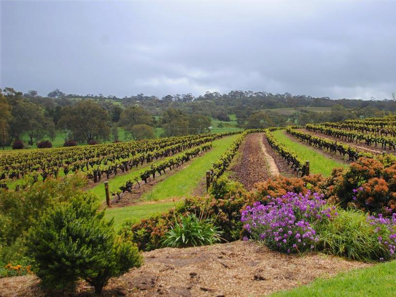 The Mill Valley Aparthotel 4*
